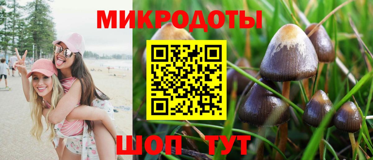 Псилоцибиновые грибы MAGIC MUSHROOMS Урай